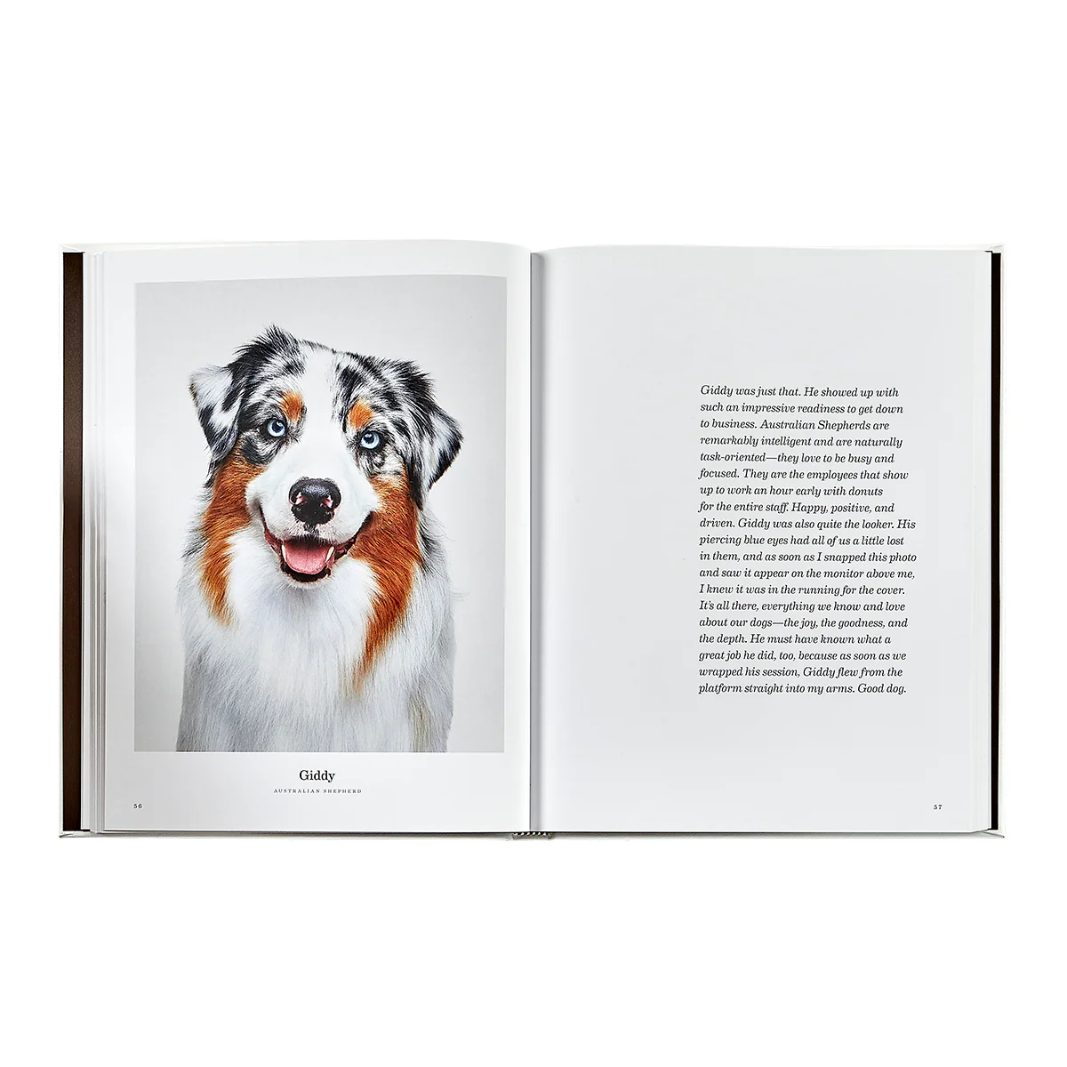 Good Dog / Hand Bound Leather Book - Image 10