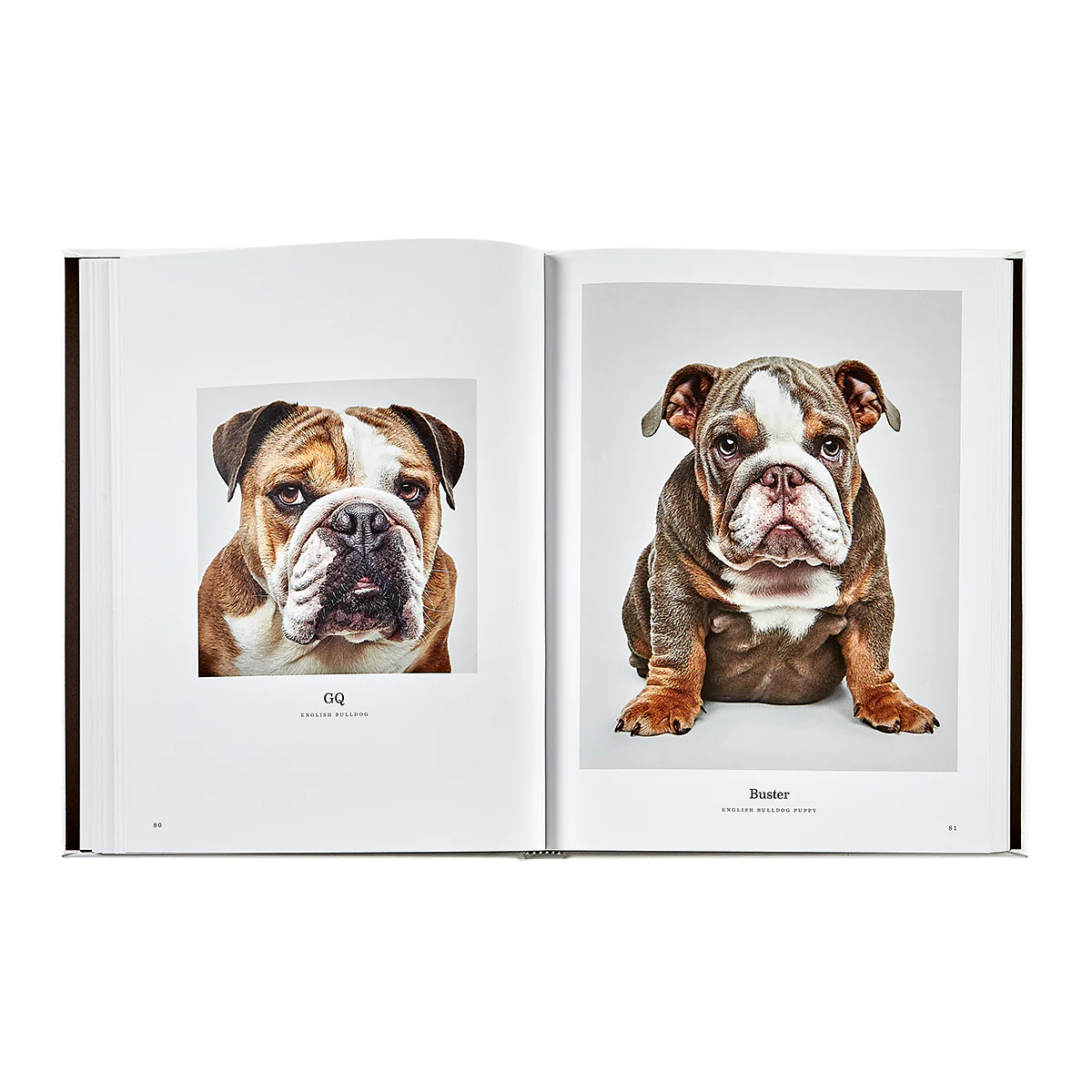 Good Dog / Hand Bound Leather Book - Image 11