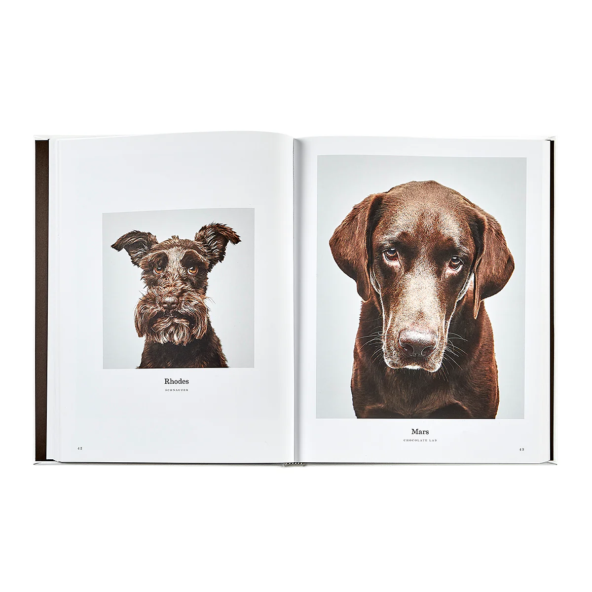 Good Dog / Hand Bound Leather Book - Image 12