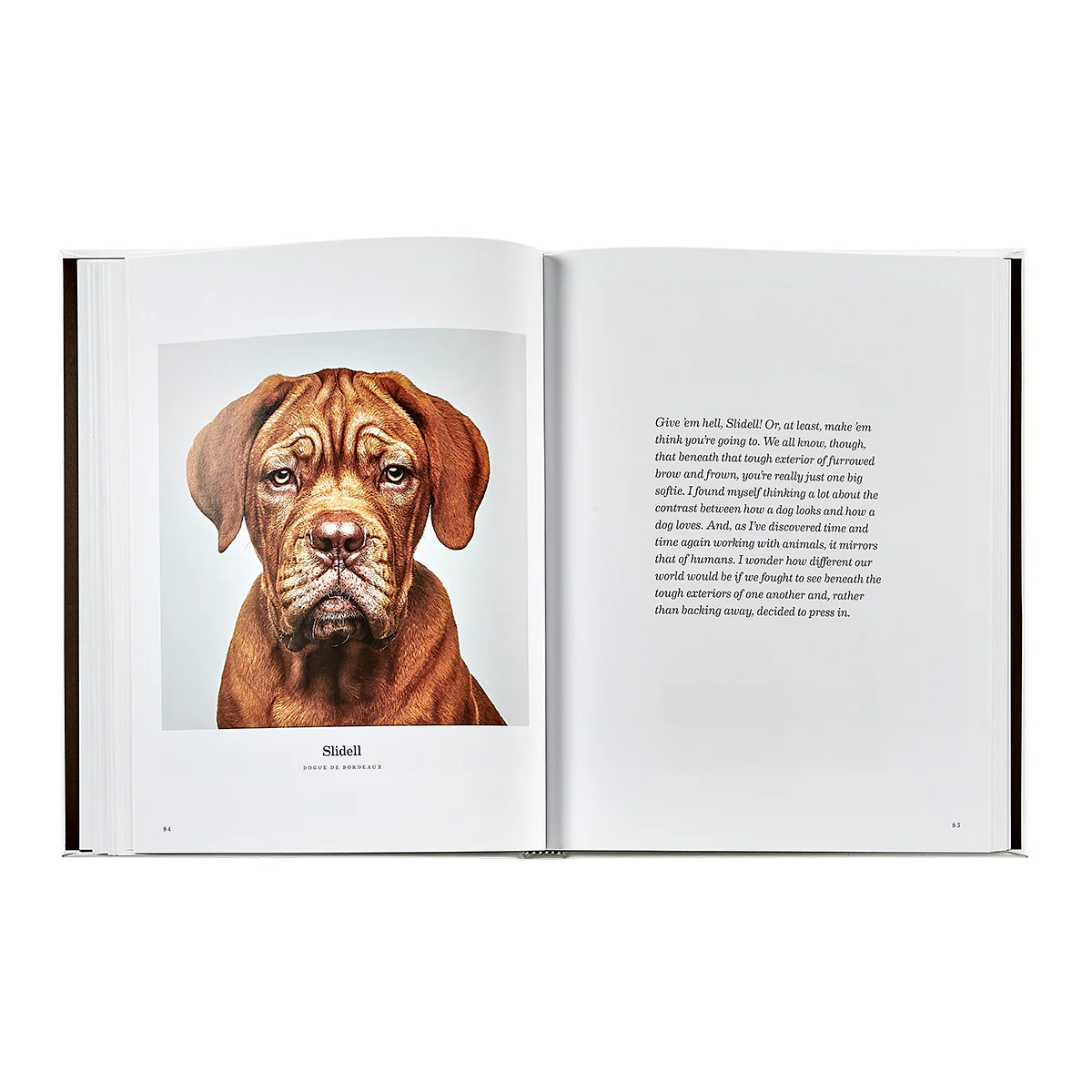 Good Dog / Hand Bound Leather Book - Image 13
