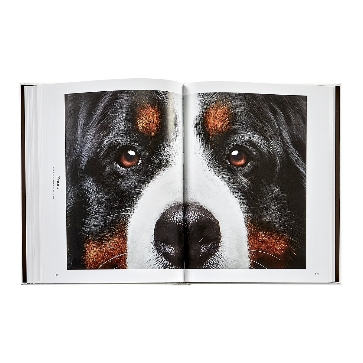 Good Dog / Hand Bound Leather Book - Image 4