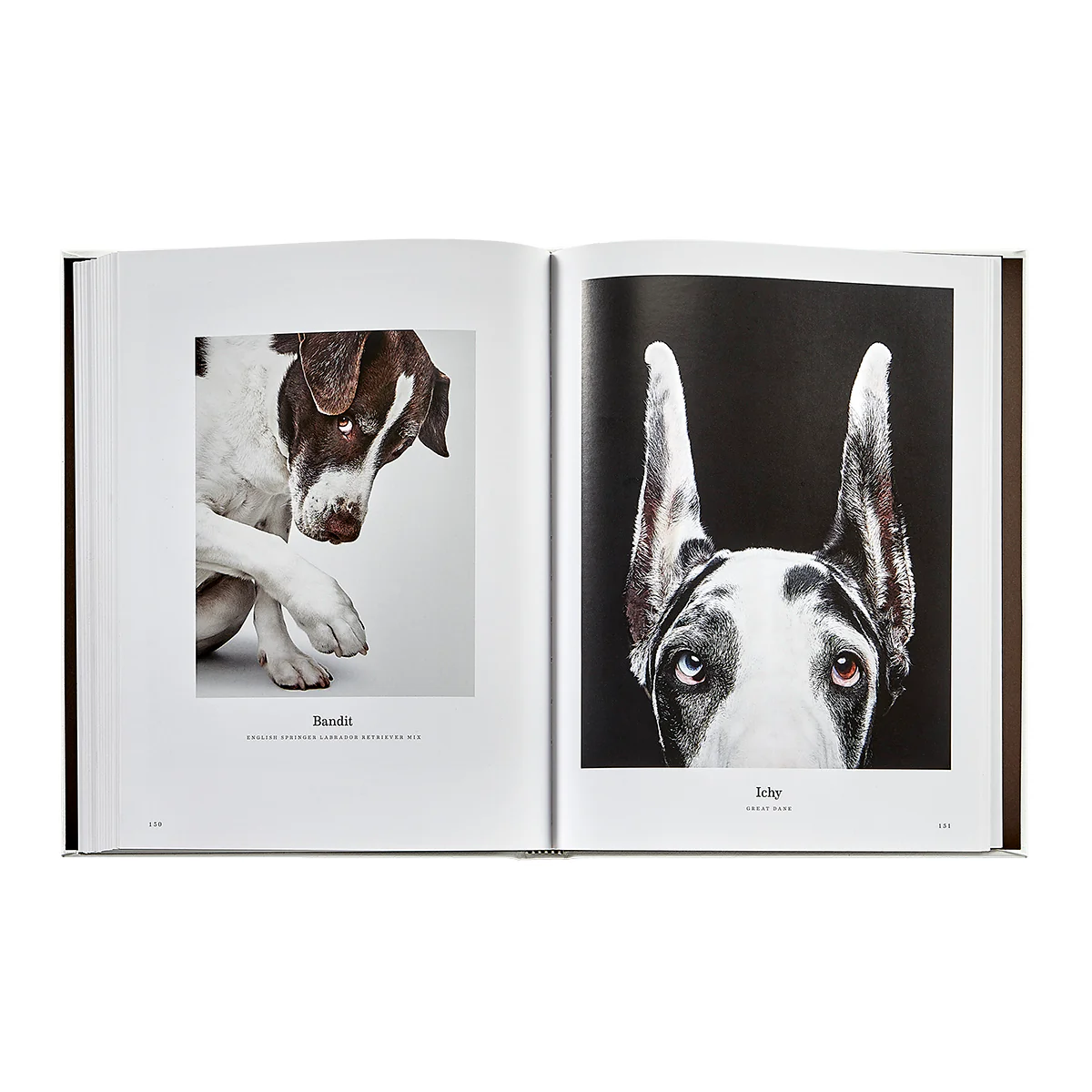 Good Dog / Hand Bound Leather Book - Image 5