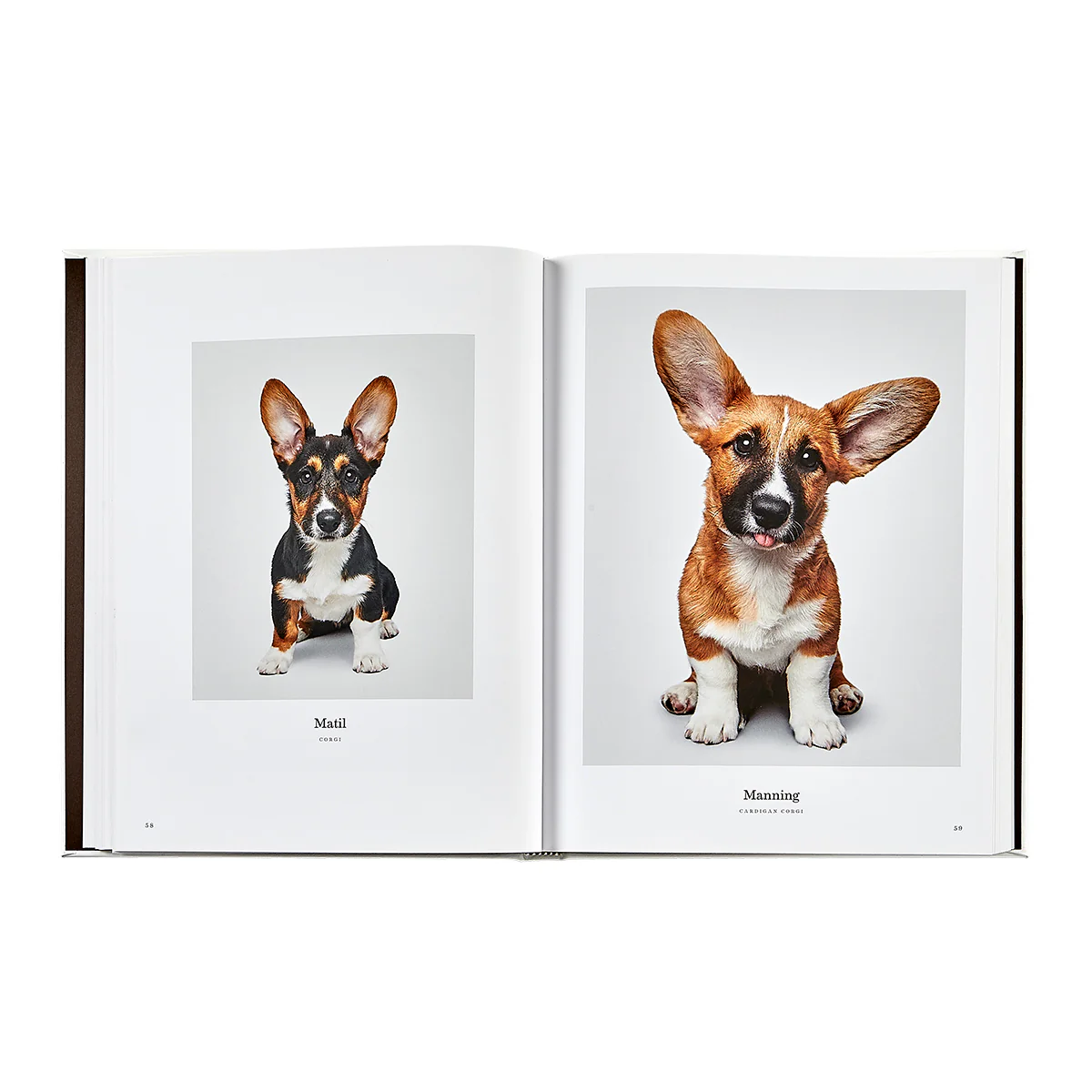 Good Dog / Hand Bound Leather Book - Image 6