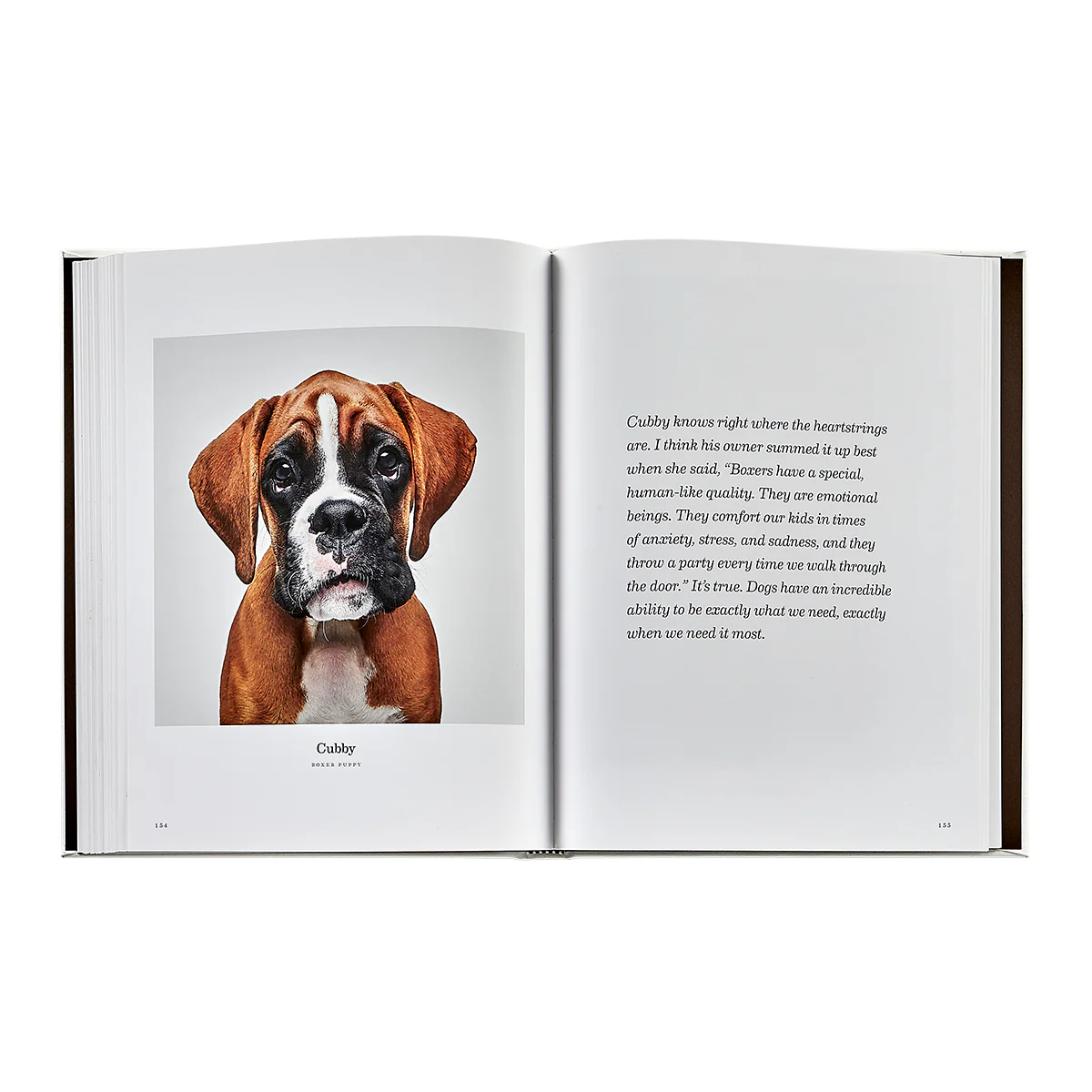 Good Dog / Hand Bound Leather Book - Image 7