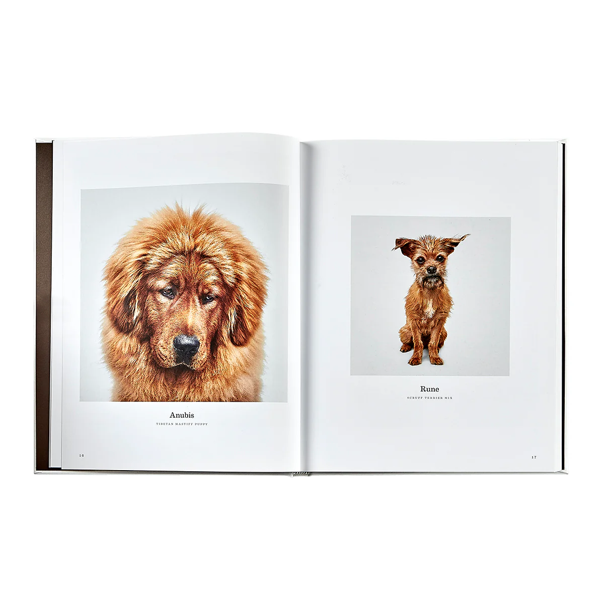 Good Dog / Hand Bound Leather Book - Image 8