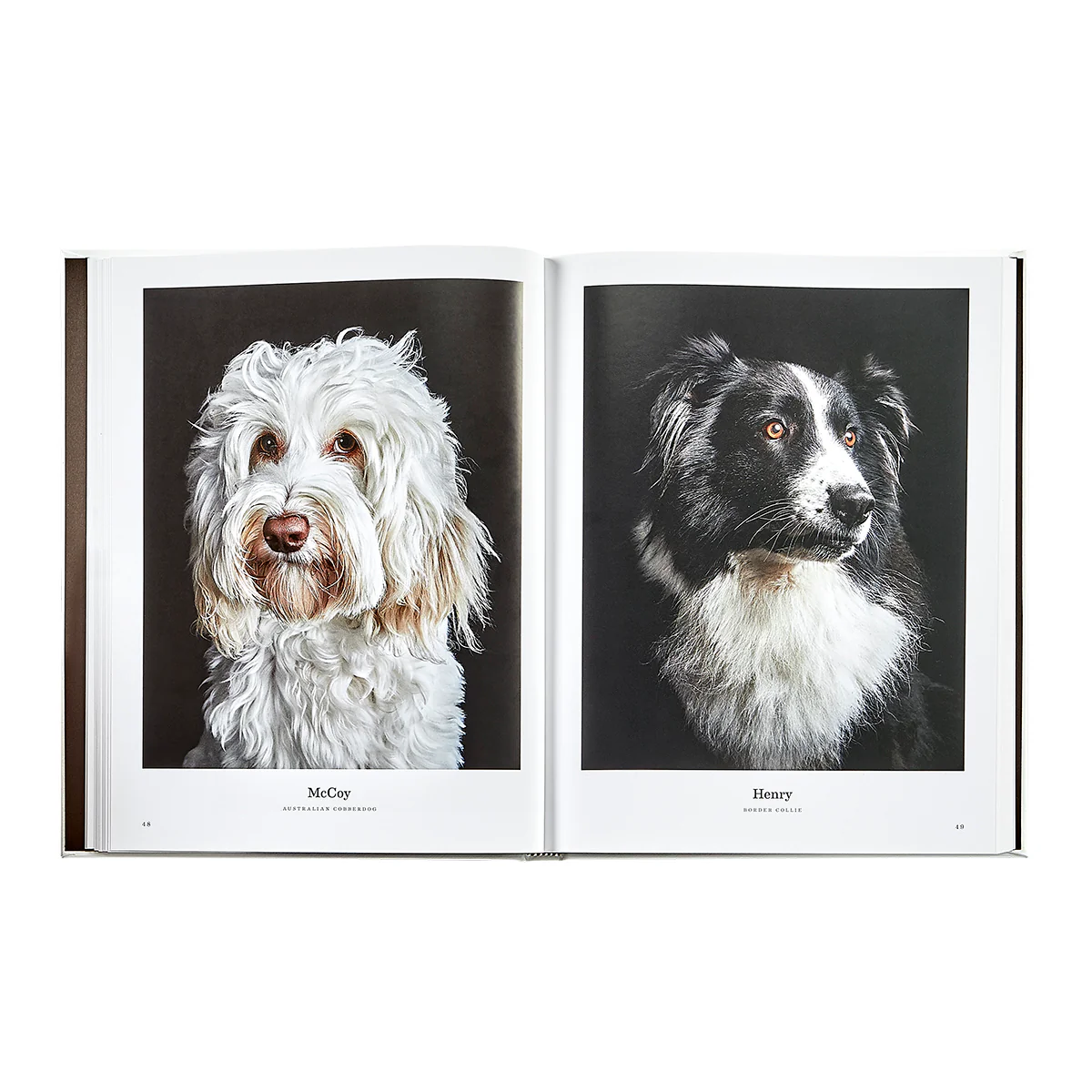 Good Dog / Hand Bound Leather Book - Image 9