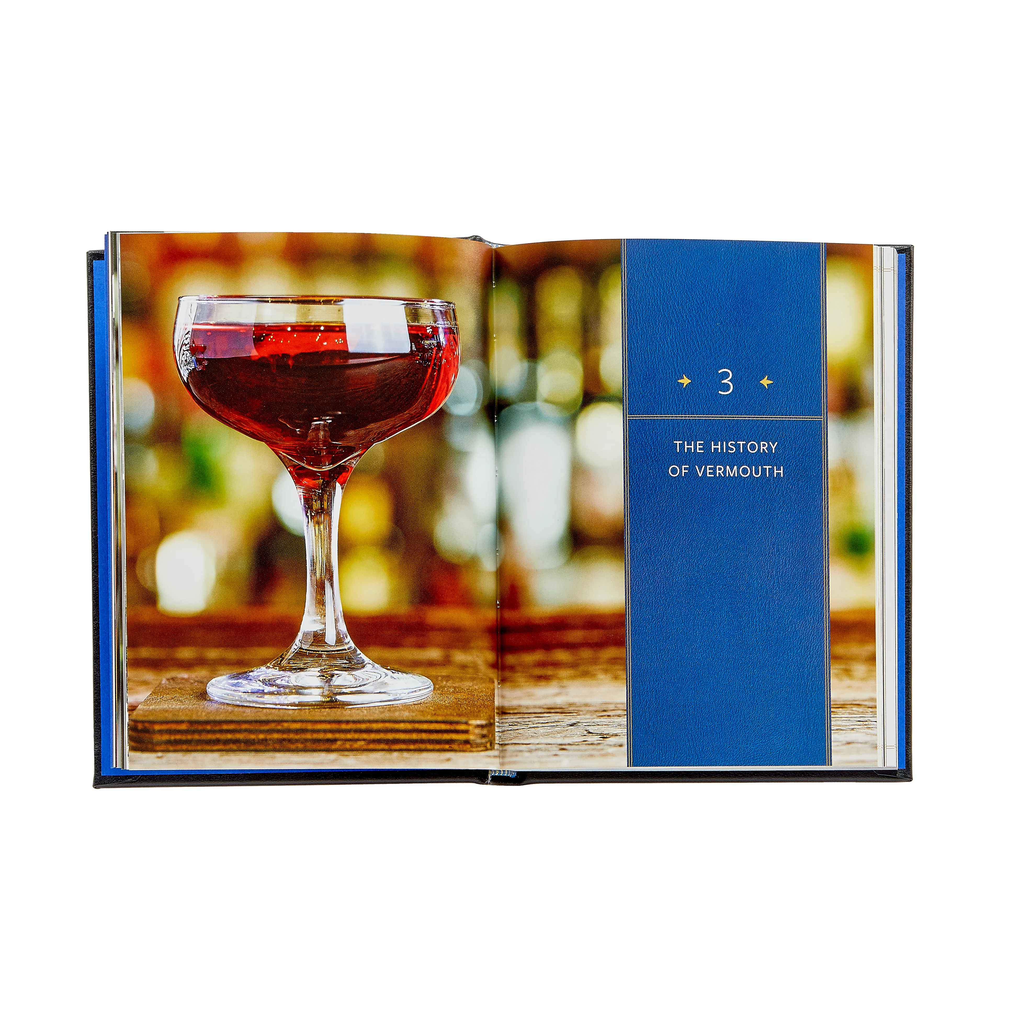 The Martini Field Guide / Hand Bound Leather Book - Image 5
