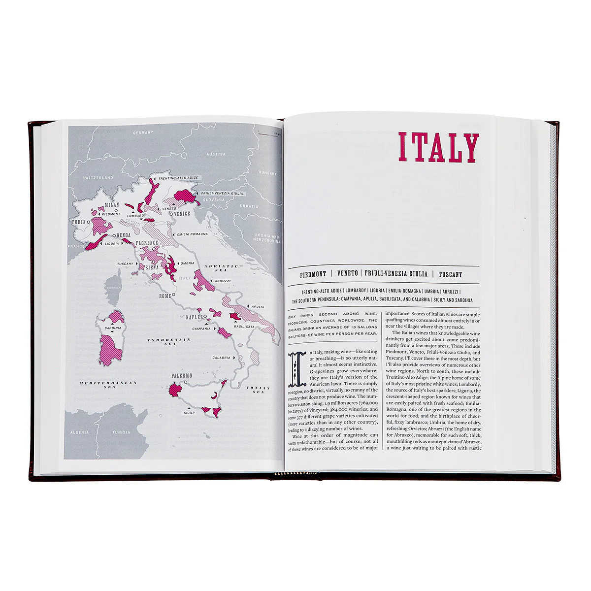 The Wine BIble / Hand Bound Leather Book - Image 3