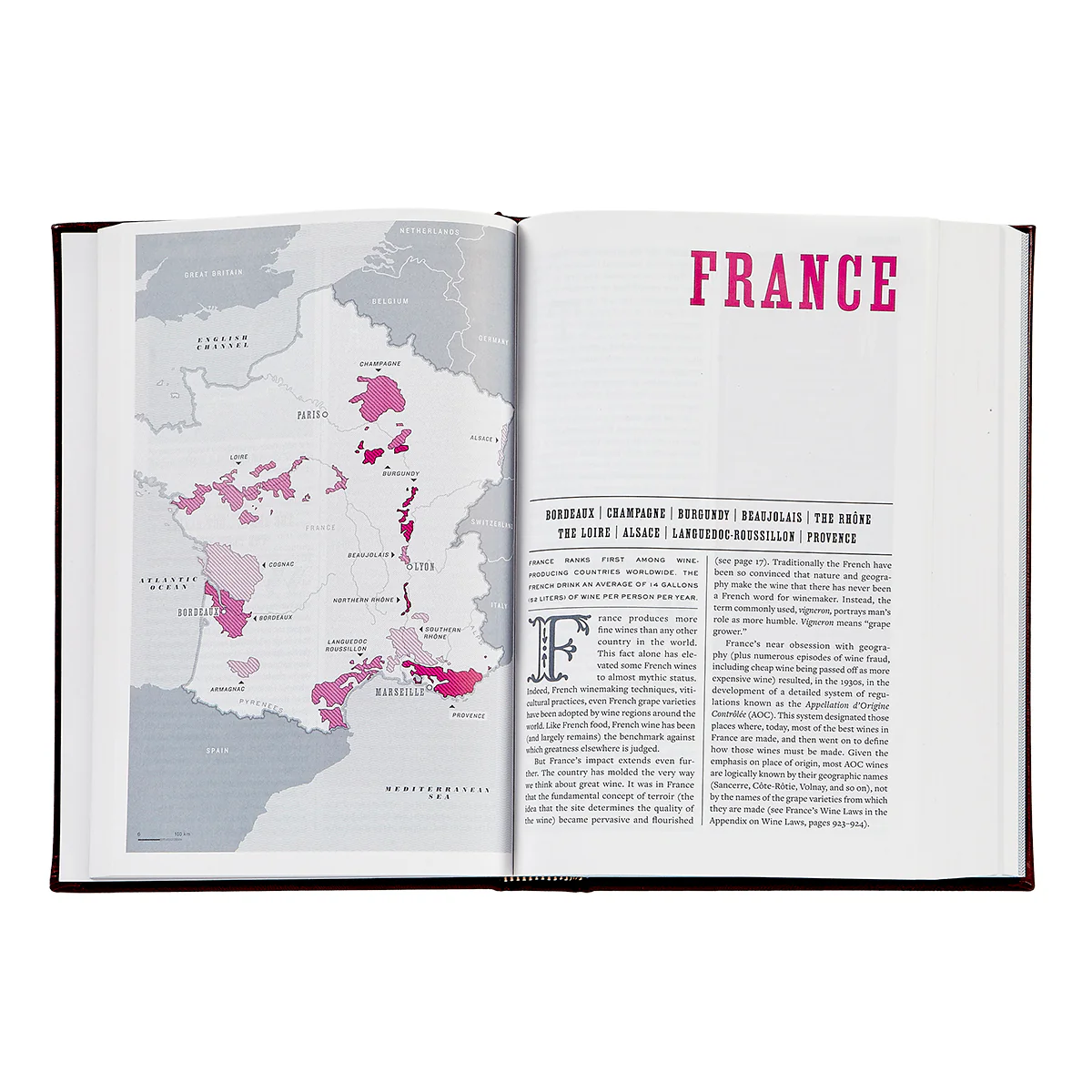 The Wine BIble / Hand Bound Leather Book - Image 5