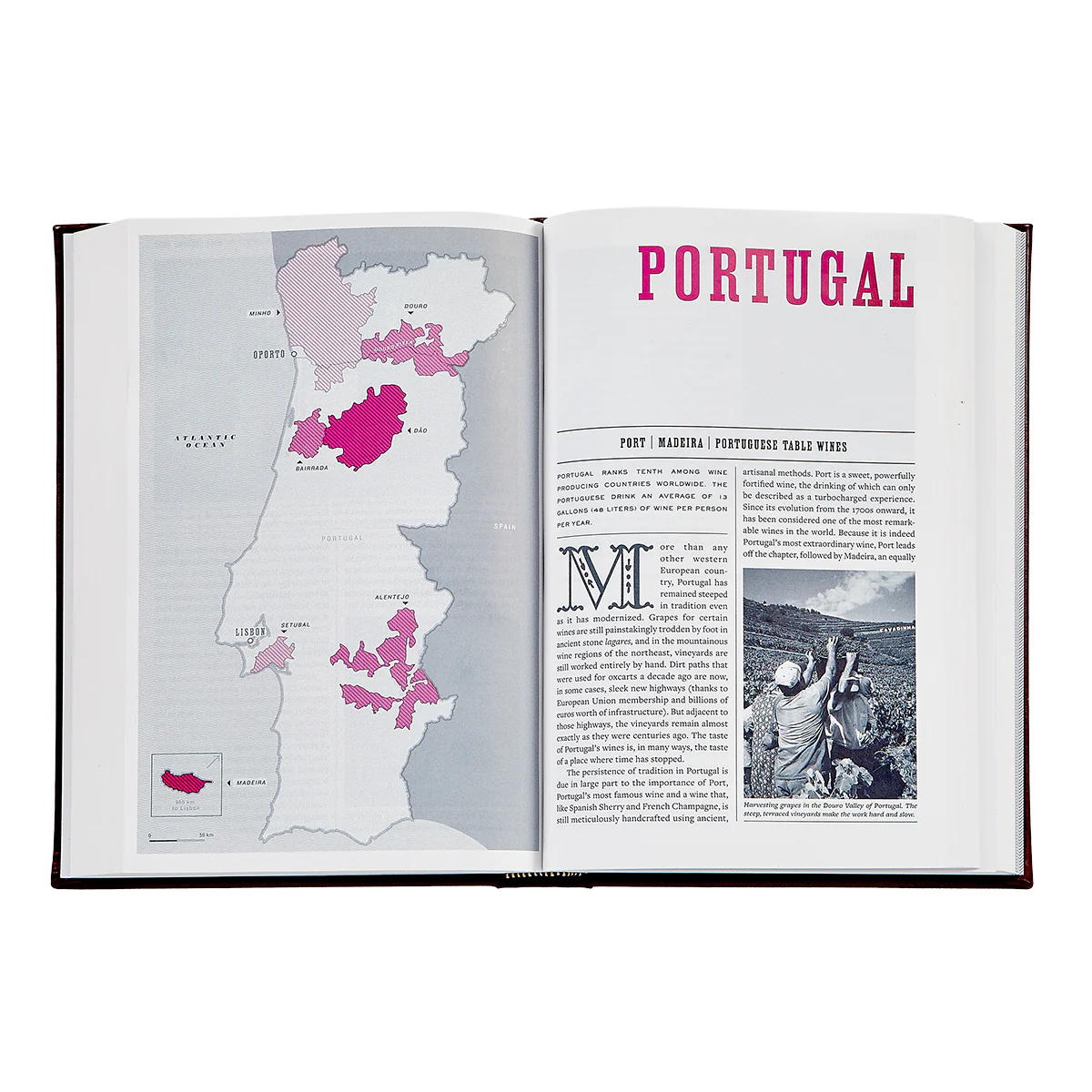 The Wine BIble / Hand Bound Leather Book - Image 6