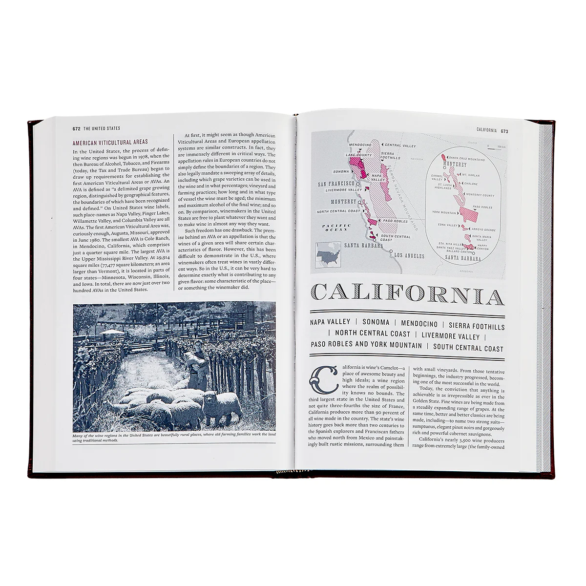 The Wine BIble / Hand Bound Leather Book - Image 7